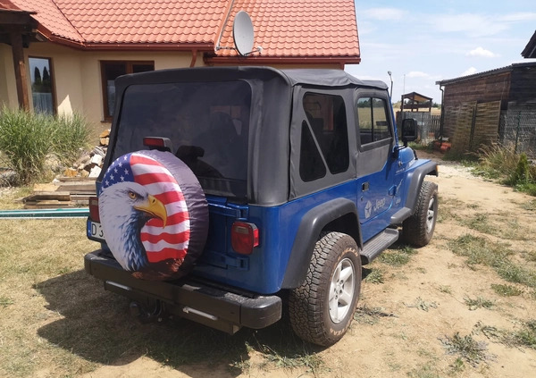 Jeep Wrangler cena 59500 przebieg: 281280, rok produkcji 2002 z Jabłonowo Pomorskie małe 79